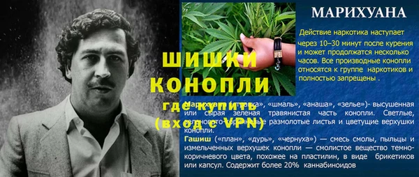стаф Верхний Тагил