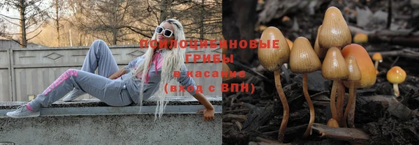 стаф Верхний Тагил