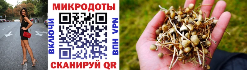 даркнет сайт  Вуктыл  Псилоцибиновые грибы Magic Shrooms 